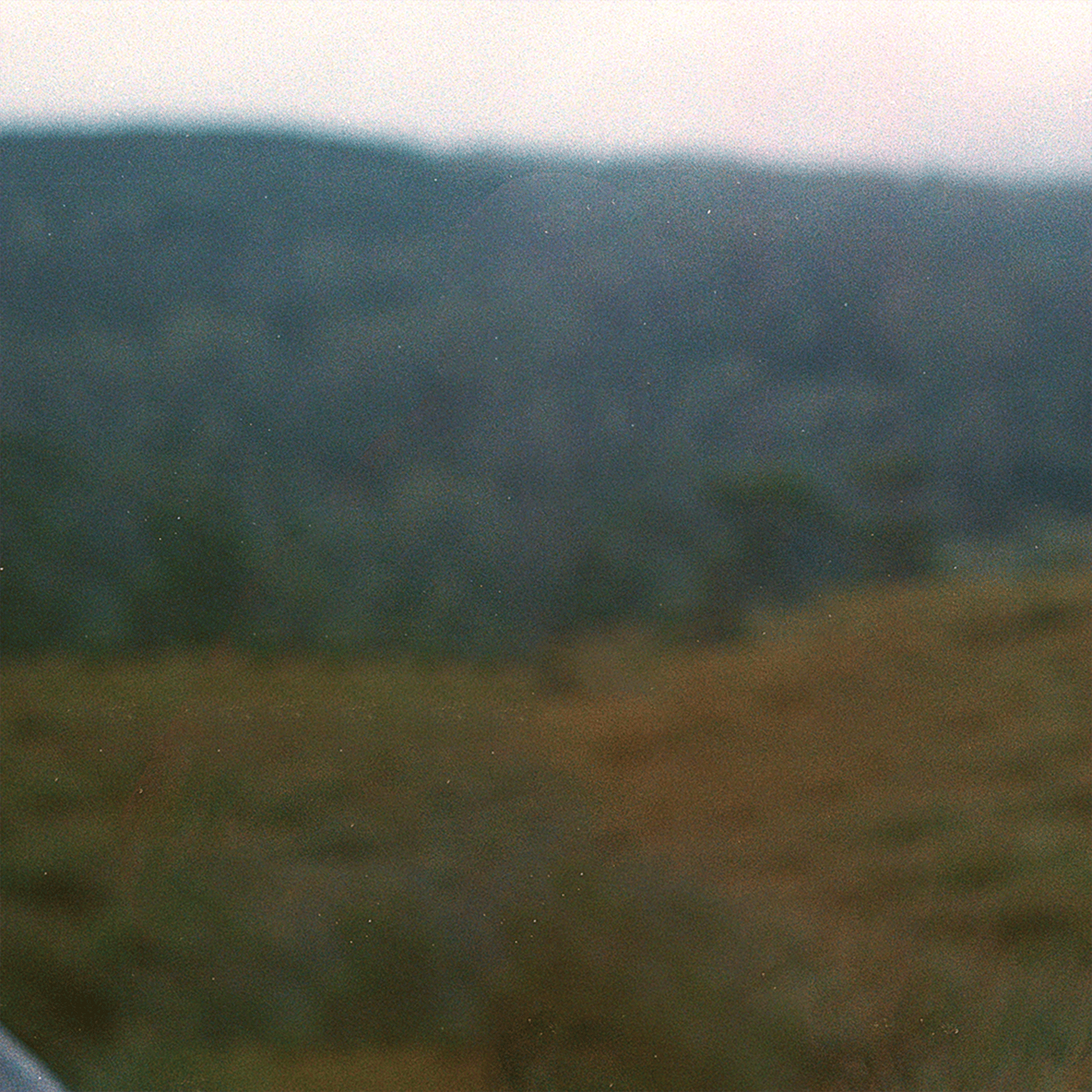 A film photograph of Noureddine from the waste up smiling while standing outdoors wearing a black beanie and a red rain coat.